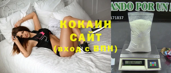 шишки Алзамай