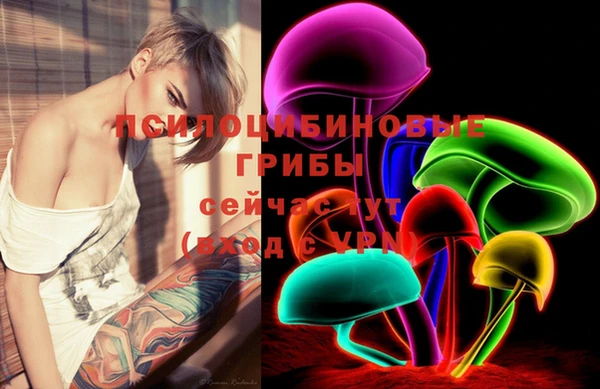 шишки Алзамай