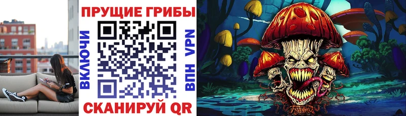 Псилоцибиновые грибы Psilocybine cubensis  ссылка на мегу онион  площадка наркотические препараты  Саки 